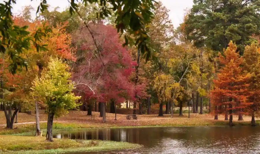 Texarkana Arkansas from St. Louis